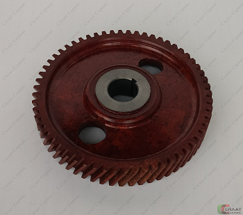 //Шестерня вала распределительного, 511.1006020